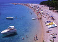 Dalmatian Beach