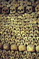 Catacombes Bones