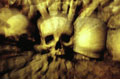 Catacombes Skulls