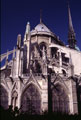Notre Dame 1