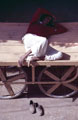 Pushkar Nap
