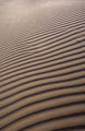Rajasthan Sand Dune 1