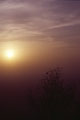 Mt. Abu Sunset