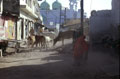 Pushkar Street 2