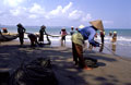 Fishing Net