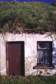 Doonbeg Grass House