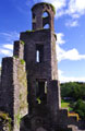 Blarney Castle Inside
