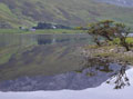 Trees Reflect Over Lake