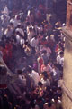 Buddha Jayanti