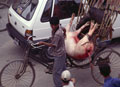 Durbar Meat Wagon