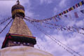 Monkey Temple