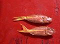 Red Fish