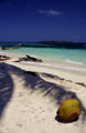 San Blas White Sand