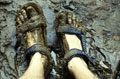 Fortuna Mud