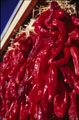 Taos Chile Ristra