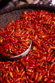 Chile Peppers